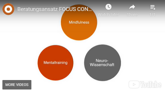 Beratungsansatz FOCUS CONSULT